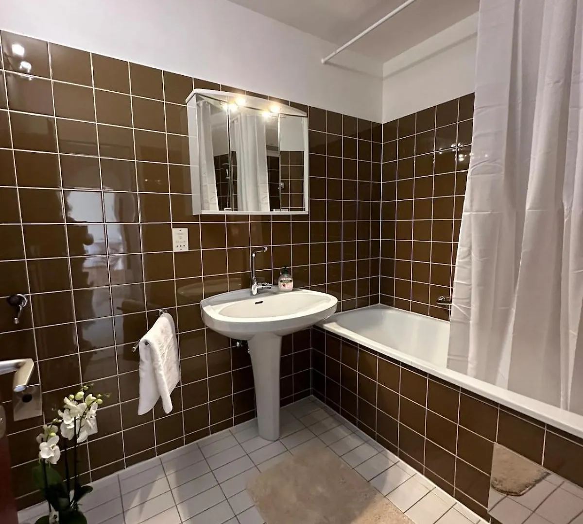 Bright & Stylish Apartment In Vienna - Newly Renovated, City Center Easy To Reach
